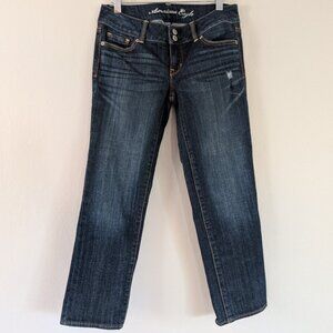 Y2K American Eagle Artist Straight Leg Jeans Dark Wash Stretch Low Rise Size 4